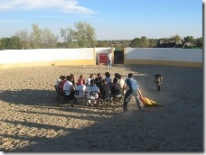 capeas toledo 5
