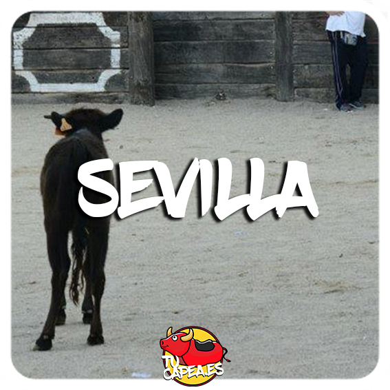 Capeas Sevilla